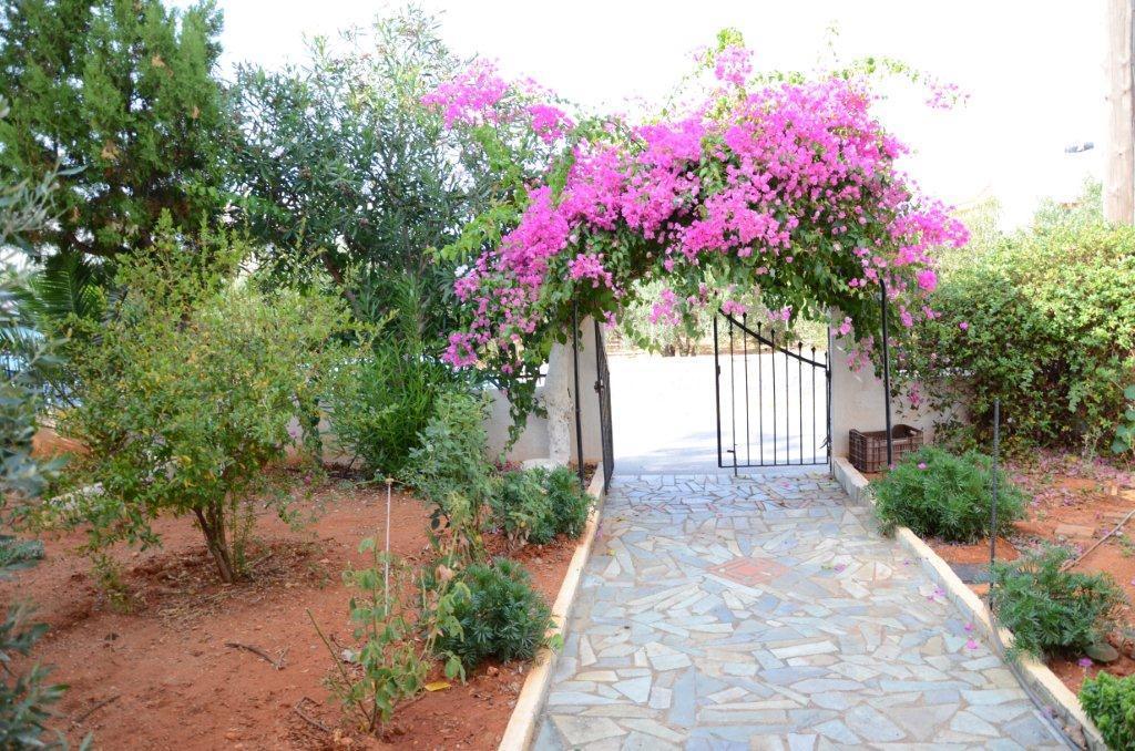 Alex Home Apartments Hersonissos (Crete) Exterior foto