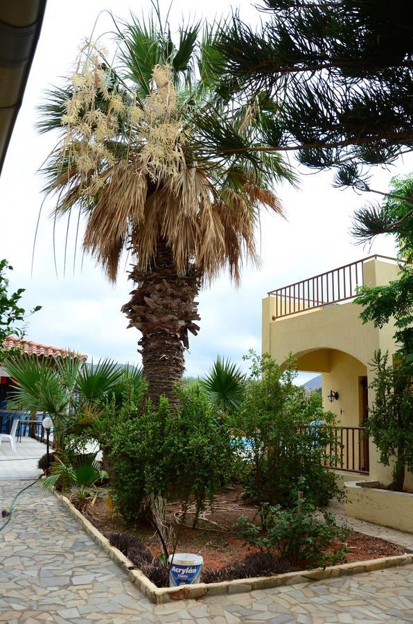 Alex Home Apartments Hersonissos (Crete) Exterior foto