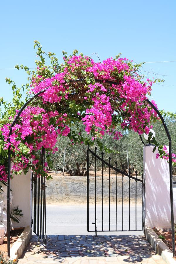 Alex Home Apartments Hersonissos (Crete) Exterior foto